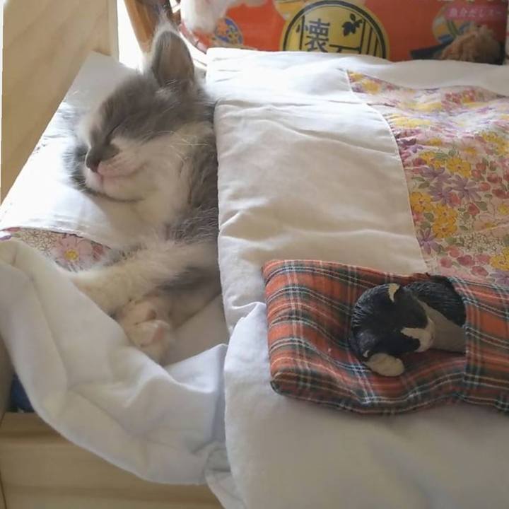 2d641793 099b 4966 bc1c 4daa6d3cf732 1600468847762