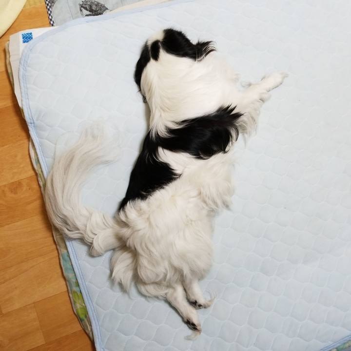 2d643707 13c1 4b9a bee0 be71665a3636 1527594448570