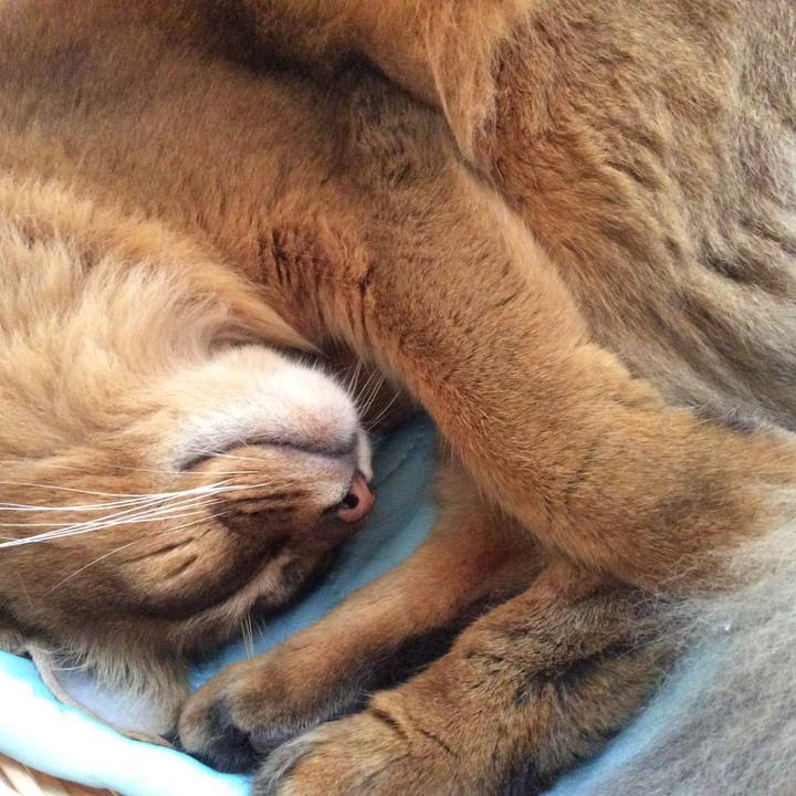 2d648bca 793c 4ddf af51 989d453038c0 1592546416208