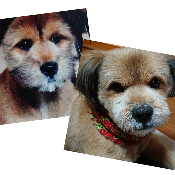 2d64913f 897a 4284 9bc7 889e4c56f2fe 1548928011696