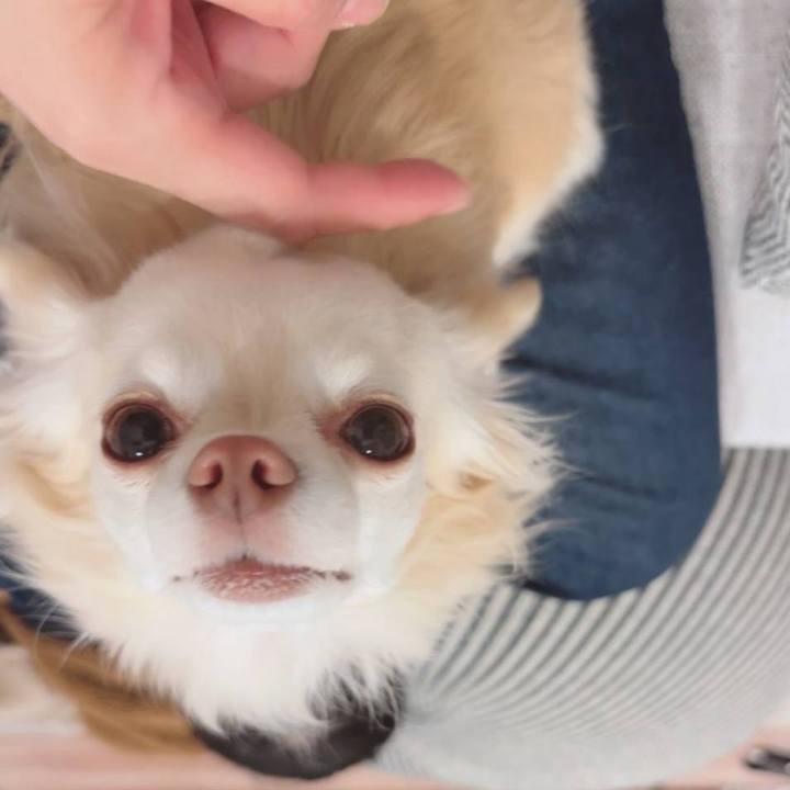 2d64a9f4 f054 4009 a82f 5e1dc8d6f61c 1708608783912