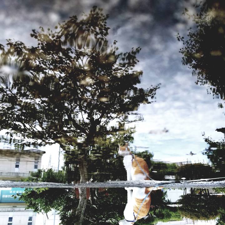 2d64aef5 5a01 432b a7d4 8254caa6bd04 1537166714843