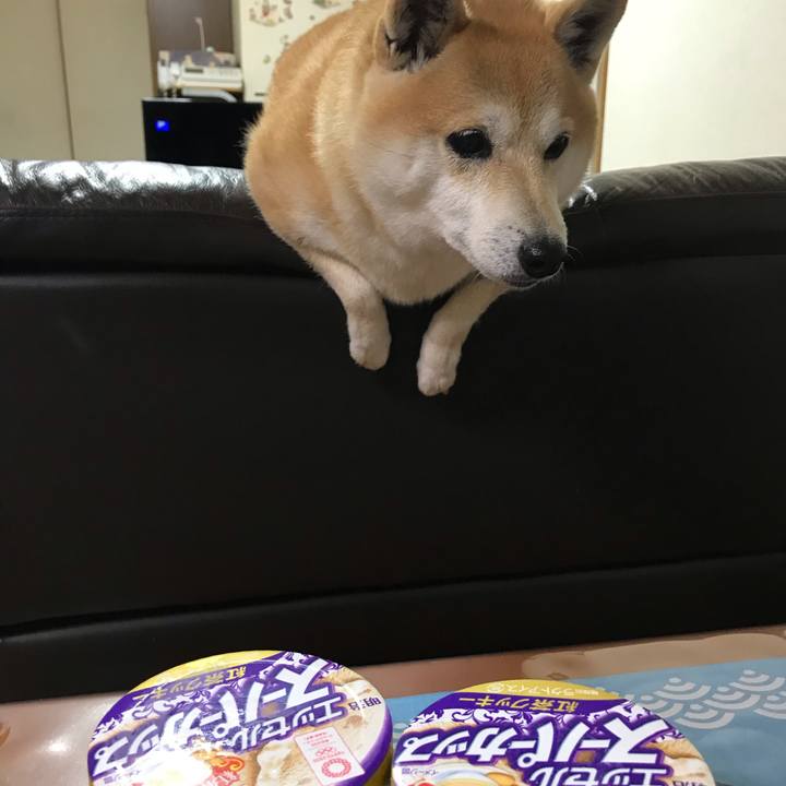 2d64b488 5aba 44d7 8755 93bb9736f534 1547618780302