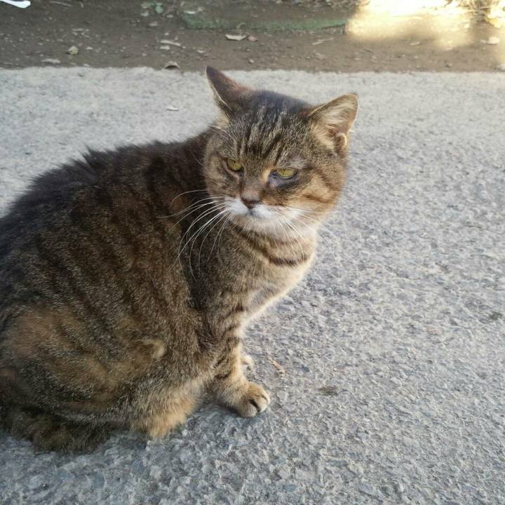 2d64ead1 eb3b 4f54 95d6 8f1c8a03da7e 1513050501490