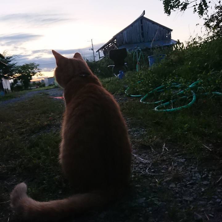 2d654409 64c8 4bad b617 89f47bfee954 1569358645060