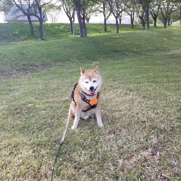 2d65611e 9b3b 4632 8608 54a77a0920ab 1714290775905