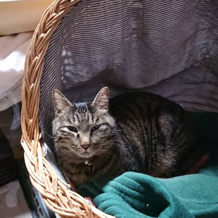 2d657ed3 1a41 4f6e 87c7 774b2a170690 1644354097510