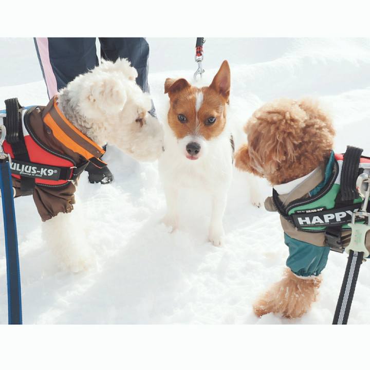 2d657ed3 267c 4ba3 a426 2cdb41a45ba6 1517055839730