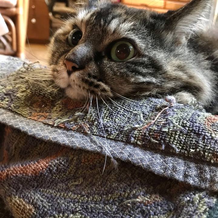 2d65a0fb e370 4db7 ad17 8b54d8dc3b6d 1638666825834