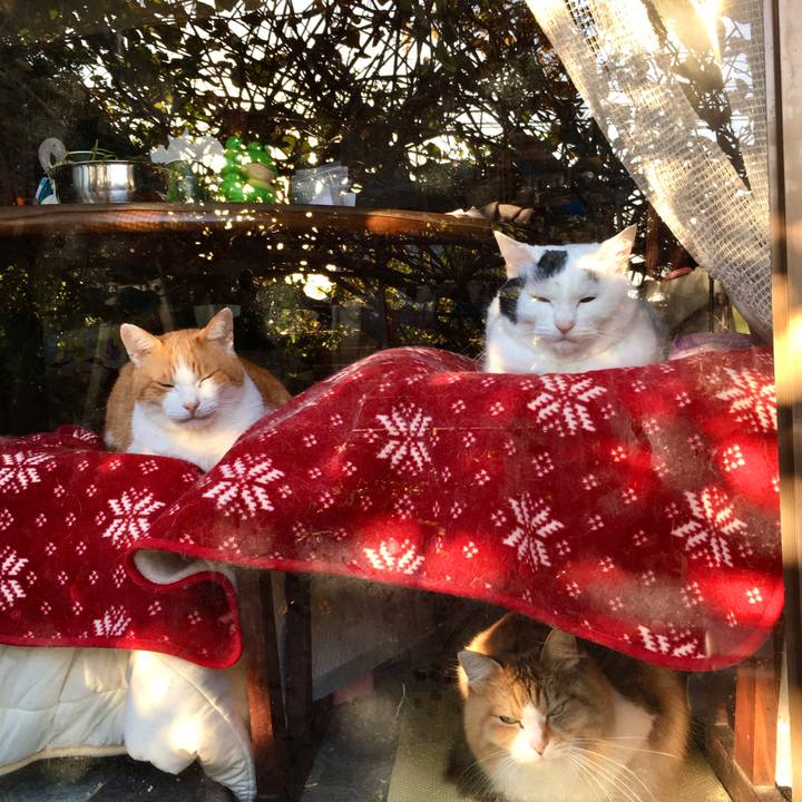 2d65ac85 14df 4b40 82ea 53ab180acc4b 1574045570061