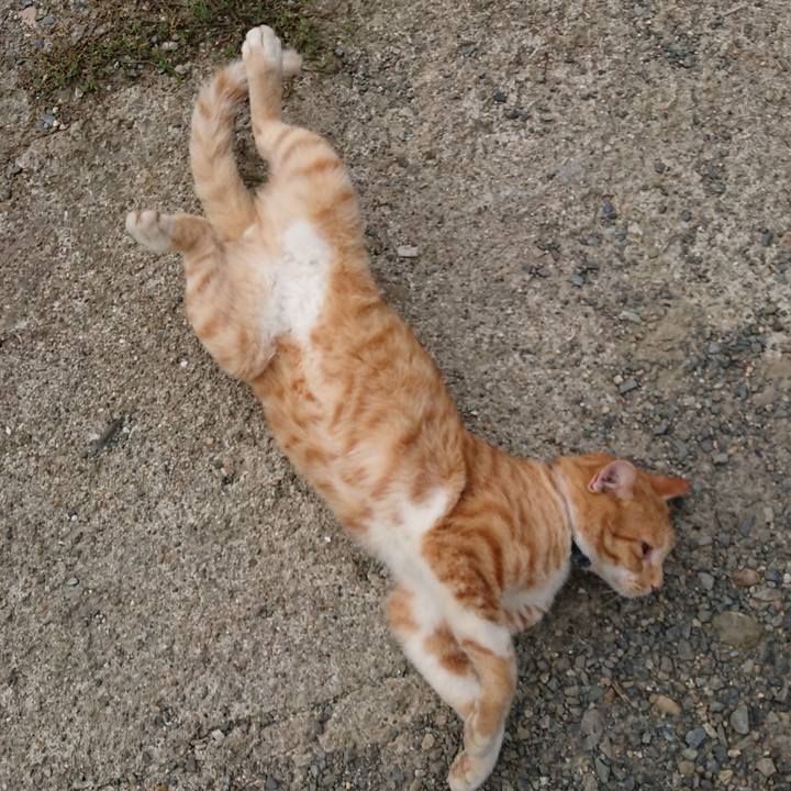 2d65ed05 9624 4546 9b2f f3025b79974b 1567295215772