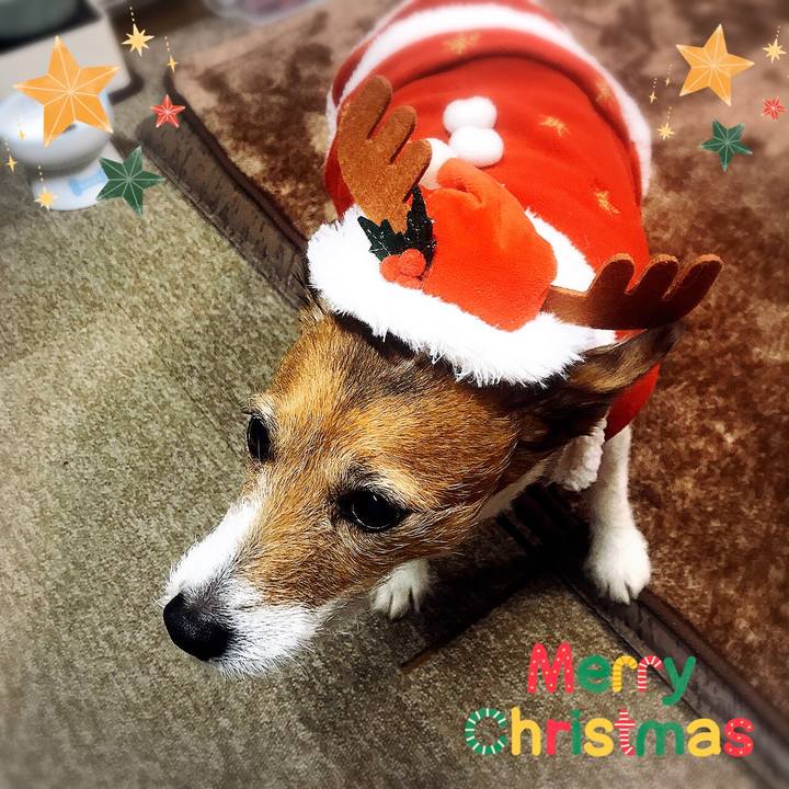 2d65fa7a 64ca 4c58 8419 5ea16da7d296 1577234804810