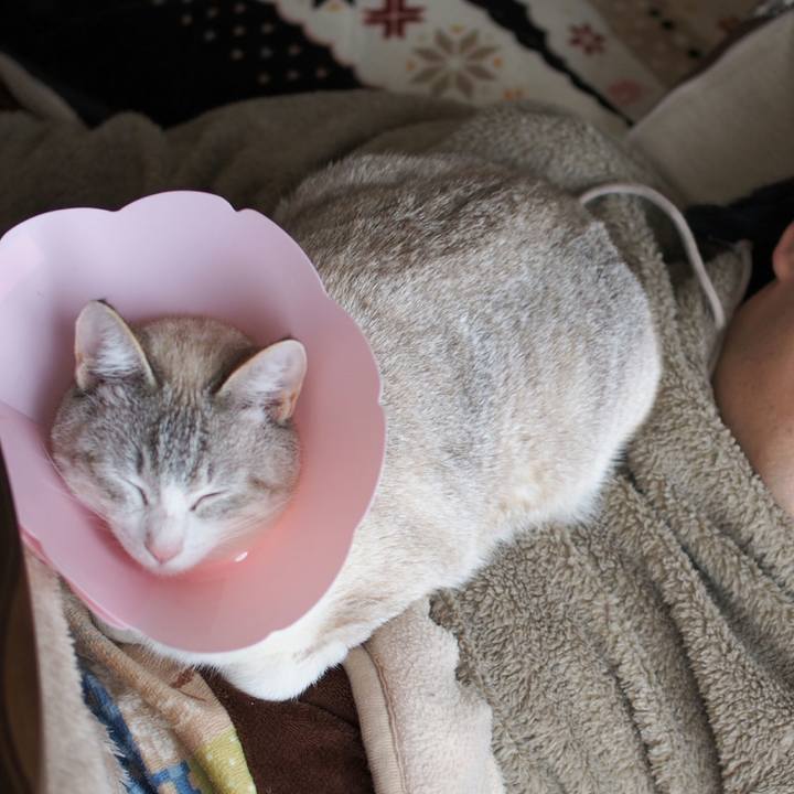 2d66002f a9e8 47ca acea ac6fdabc210f 1519545208471