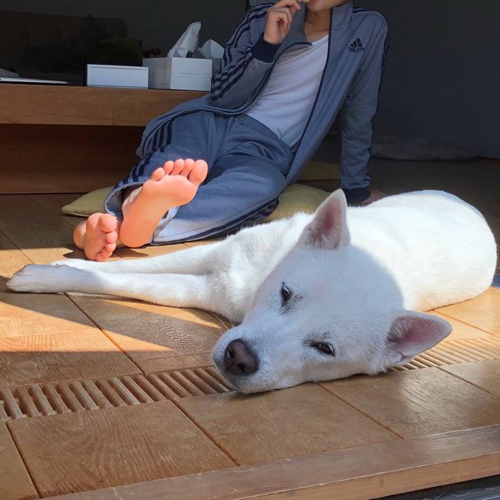 2d660f0c 6981 4ea9 9e95 23159e1e5963 1553155081783