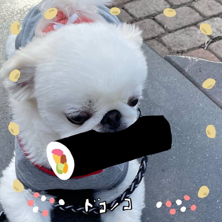 2d6611d8 fdce 4076 a07e 191c73eefecb 1741406349029