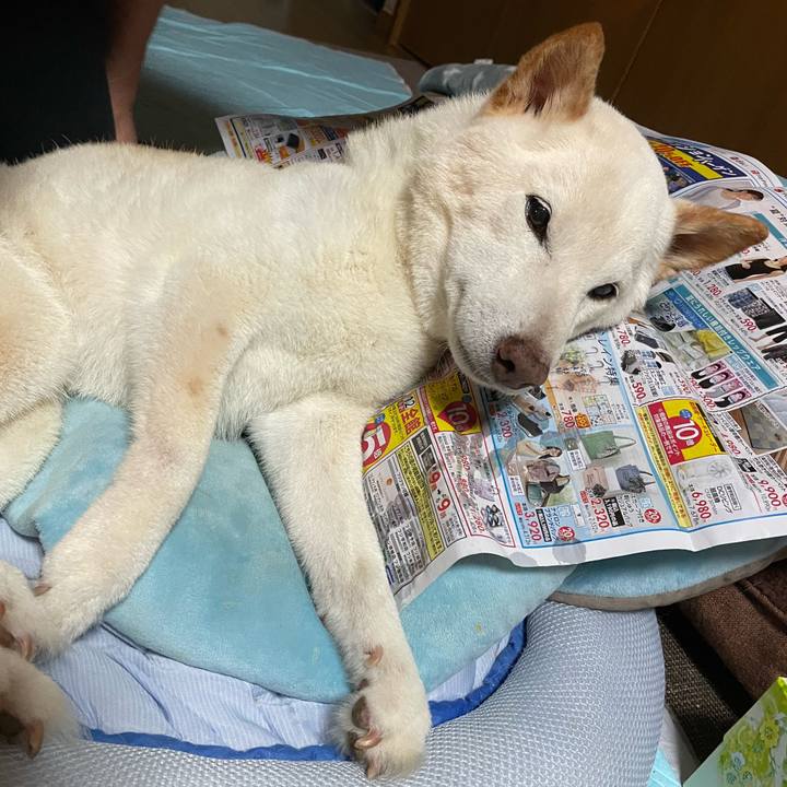 2d6625e7 1a4b 48f0 9009 f27507114c79 1654614344295