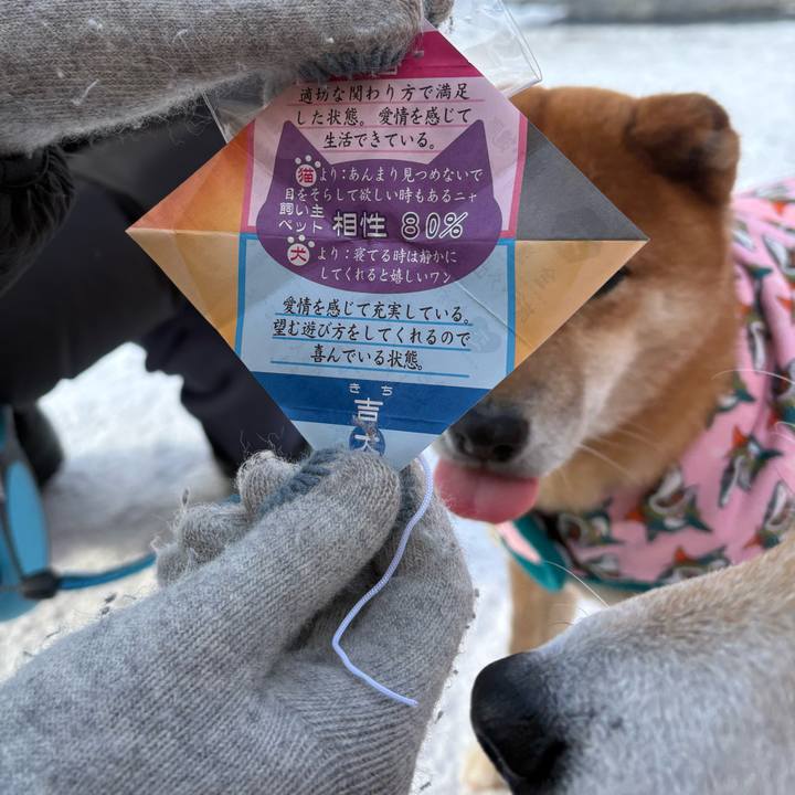 2d663617 e57b 4e5a a462 015a0b442fba 1767330620408