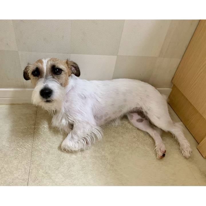 2d664c13 7e3e 4f1a 896d 44260b2f41be 1624527836061