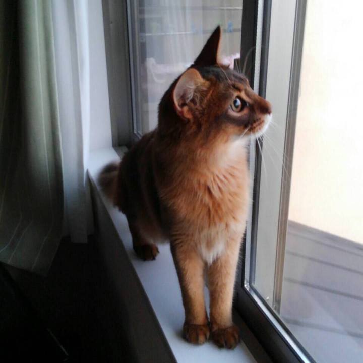 2d666293 0d96 4fb7 8c86 2db604a3d0cb 1588117528595