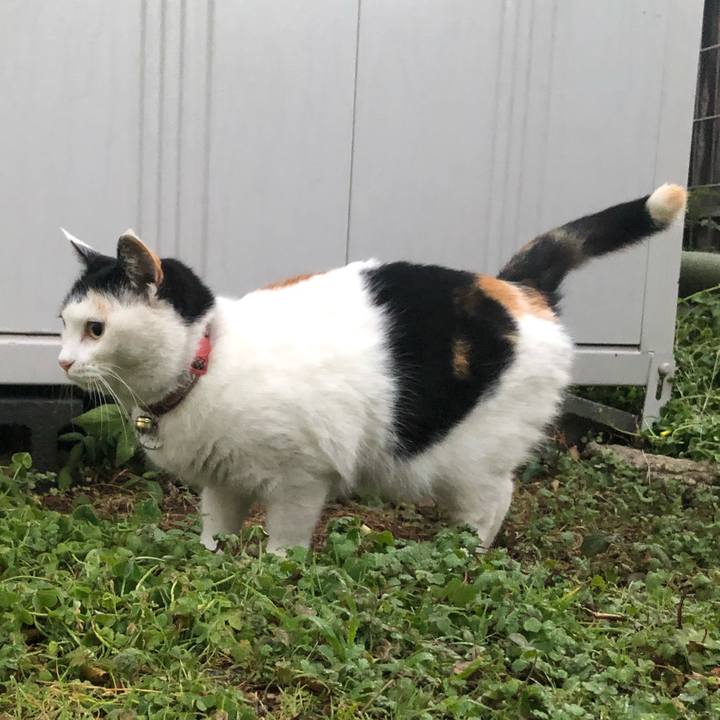 2d669fa9 3148 4a8e 837a f29273f8e931 1611402196775