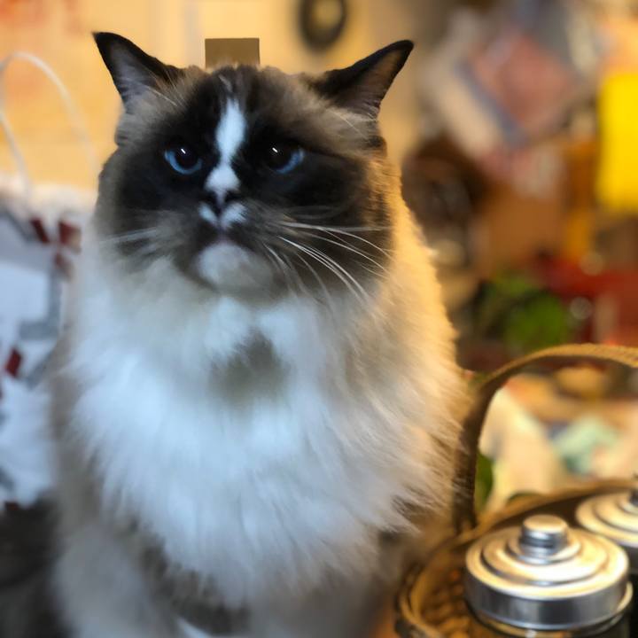 2d66aa49 19b3 4345 a71c 25255dac0692 1547282964301