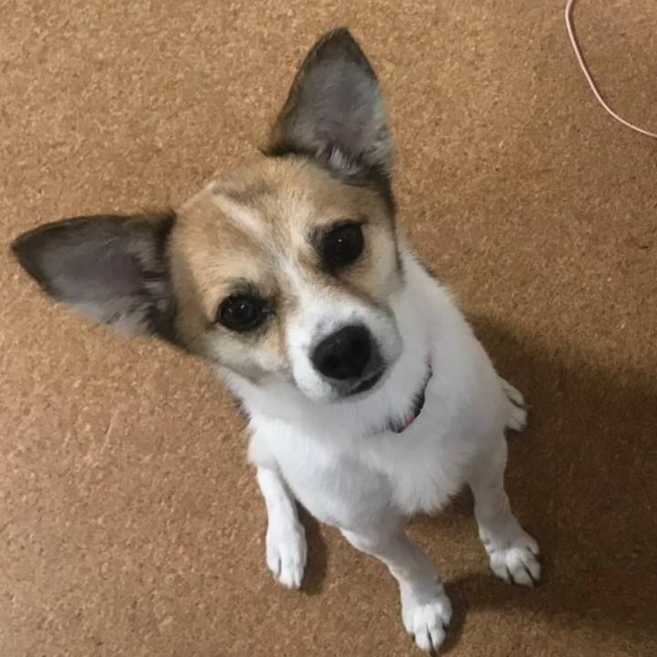 2d66da44 6bc5 427e 9218 e9d6656820d4 1564566213656