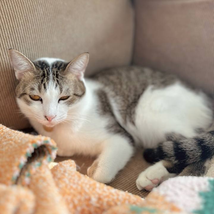 2d66fc08 a1b3 4567 bc6c 77da98e5dac4 1768363641853