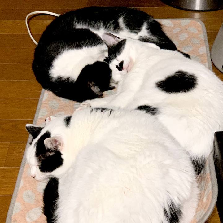 2d6705e6 c416 4e46 811b 2c7798390cb2 1577622725691