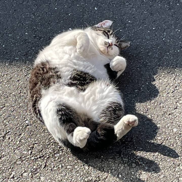 2d67532b 2ed3 48f0 b074 be544ff170de 1640406670546