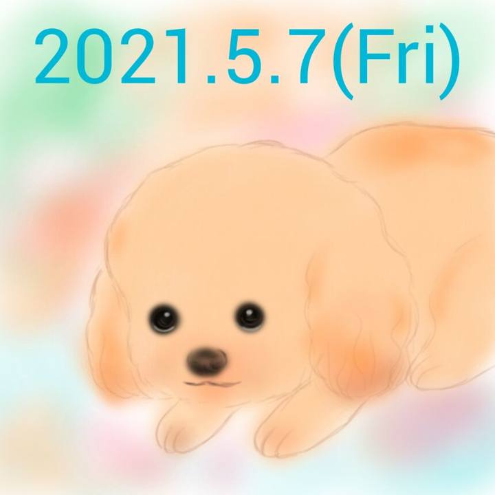 2d67790f e14d 4d8b 9ca6 fe08aab1dc3a 1620396313555