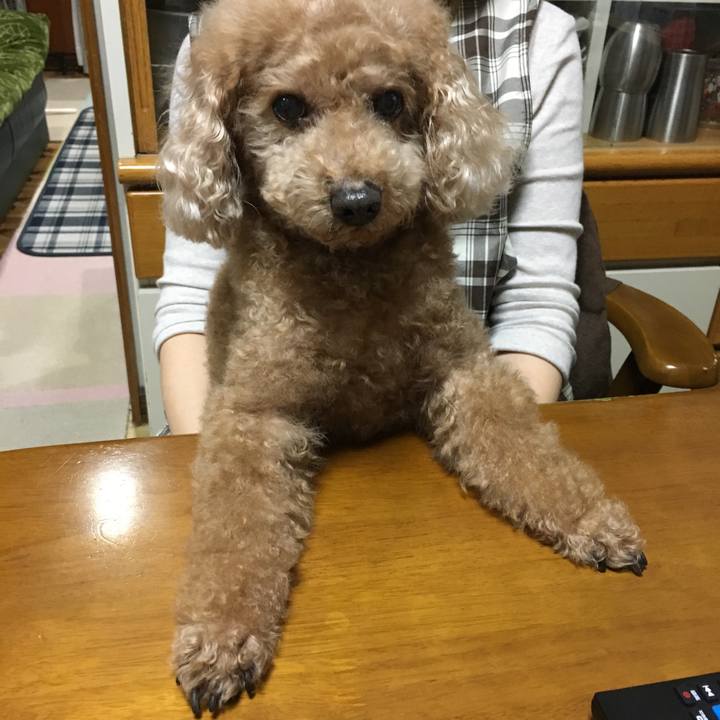 2d67afef 812f 46cd 8d1a 83a8e2ddc5f8 1511099997690