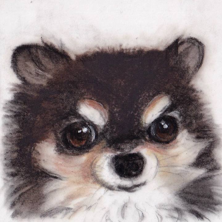 2d67e4b0 bf8e 4379 ac6d f17dc4bde99a 1669306262830