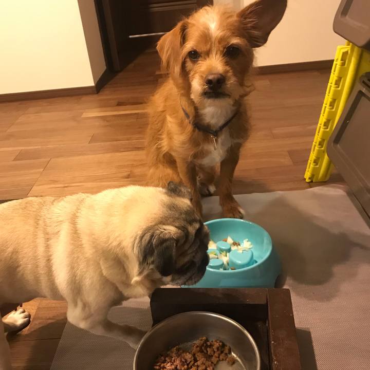 2d682ebd 5d46 435c b2c4 3a5f9b3d96b2 1579169467045