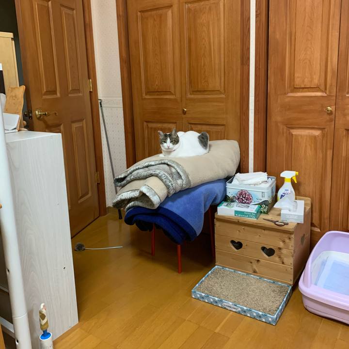 2d68a44c 086e 4126 9ad8 832028c5cf60 1586469290775