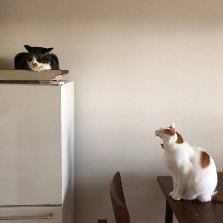 2d68adb1 c61b 45dd 8118 d567d233a673 1577753933219