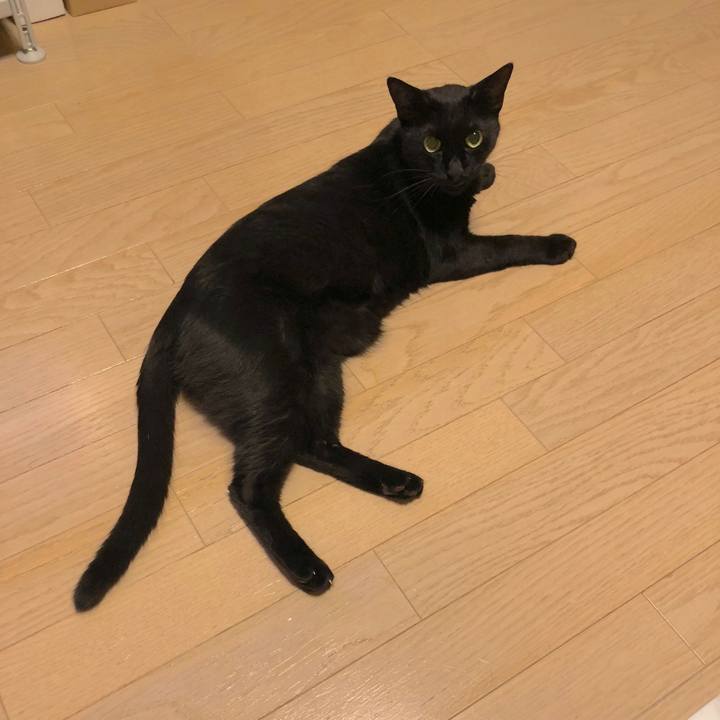 2d68b1f7 b8f8 4b0d b4da 9ee7a8efb037 1535203872850