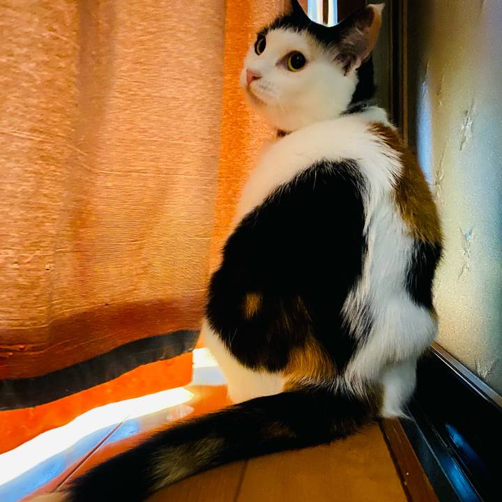 2d68c438 d889 4f5c 910a 847c03894a7c 1657894244376