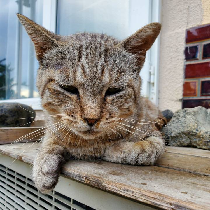 2d6906a4 75e4 4a76 a1ae 7baf6ec6e617 1694526866881