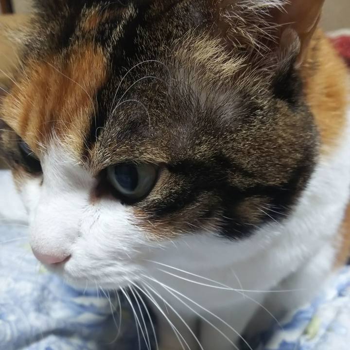 2d694775 6deb 440b a43c 910503911566 1580009394986