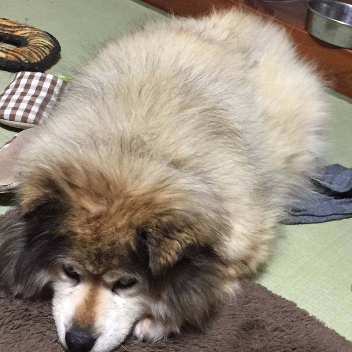 2d695a9c aa91 485f 8b5e b68890a92028 1598816402559