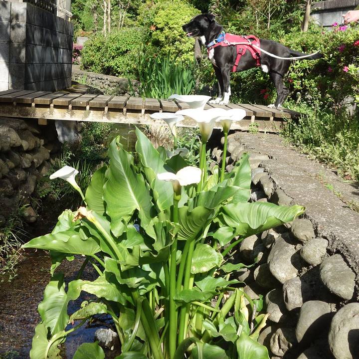 2d69ab55 4ed0 4eaf b84c 53f39c45764e 1681346197511