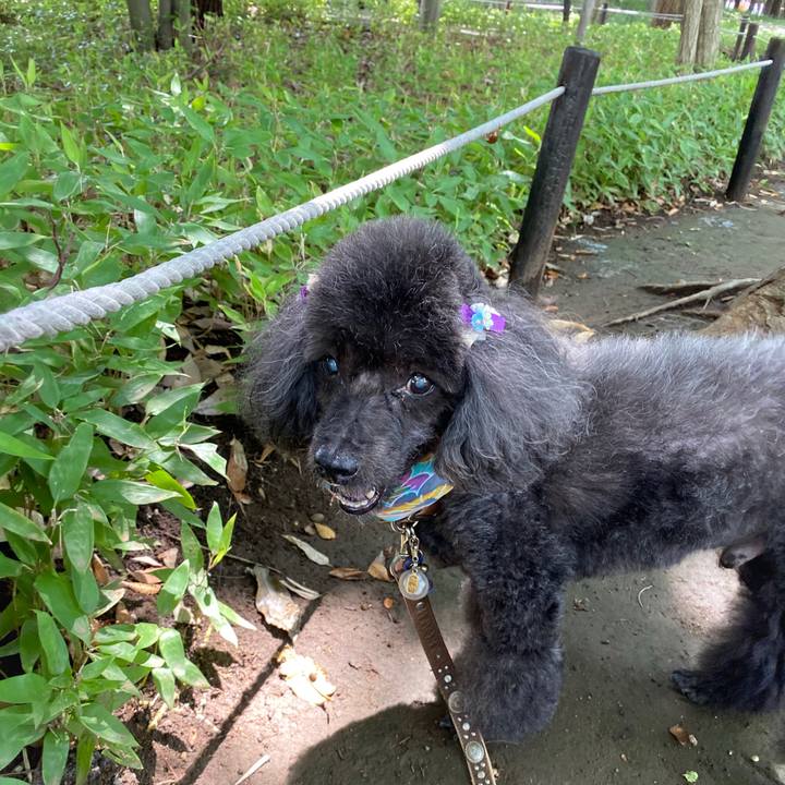 2d69ad5c 0b46 4cf4 b2a2 d7d866ccb8b6 1631106326222