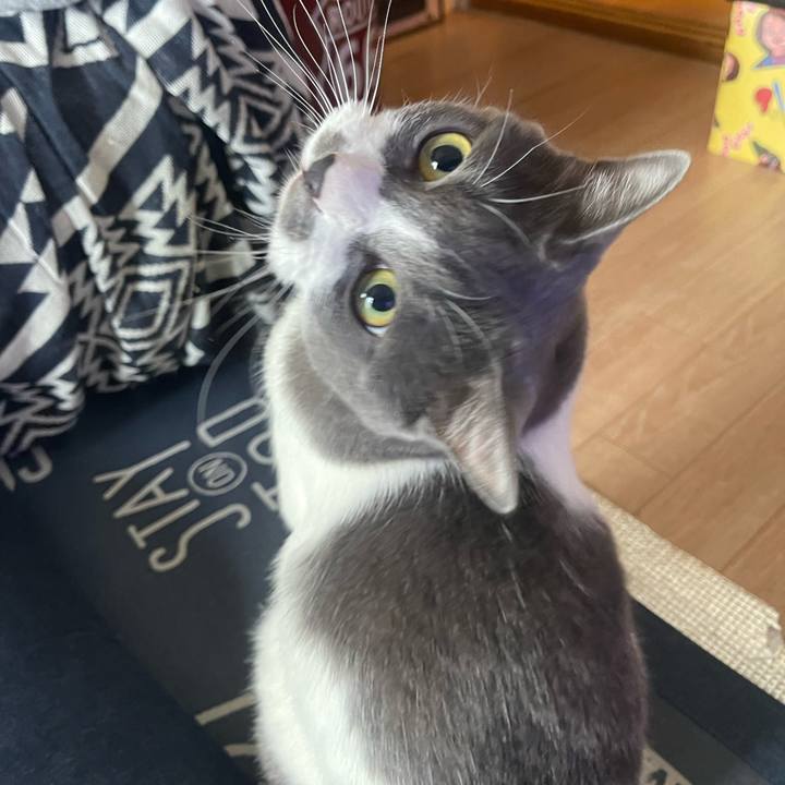 2d69f377 c3e1 4baf b561 e41587e6f9a2 1720998685778