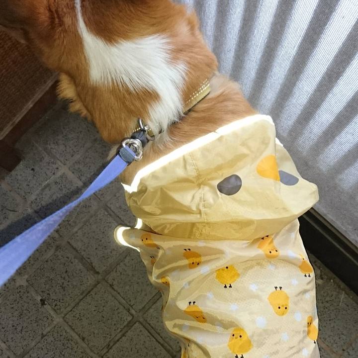 2d69f6eb bf7d 4b71 b12b b028cccf15b5 1583841697466