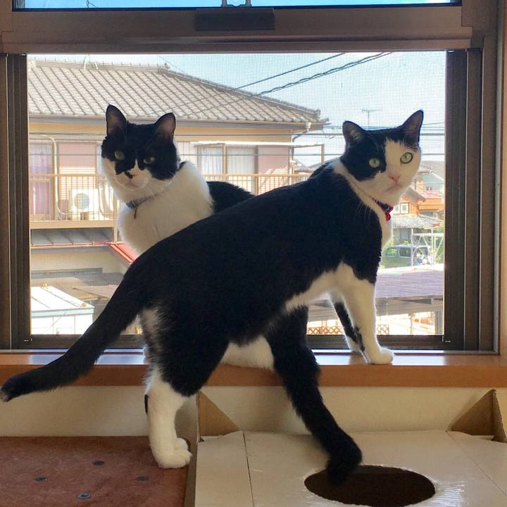 2d6a17b2 cba9 4013 a342 a4faa91b827e 1508291660072