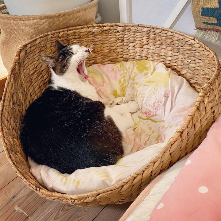 2d6a31cf 4583 4d1d ae2b ba50ccc5c7e9 1600126195117