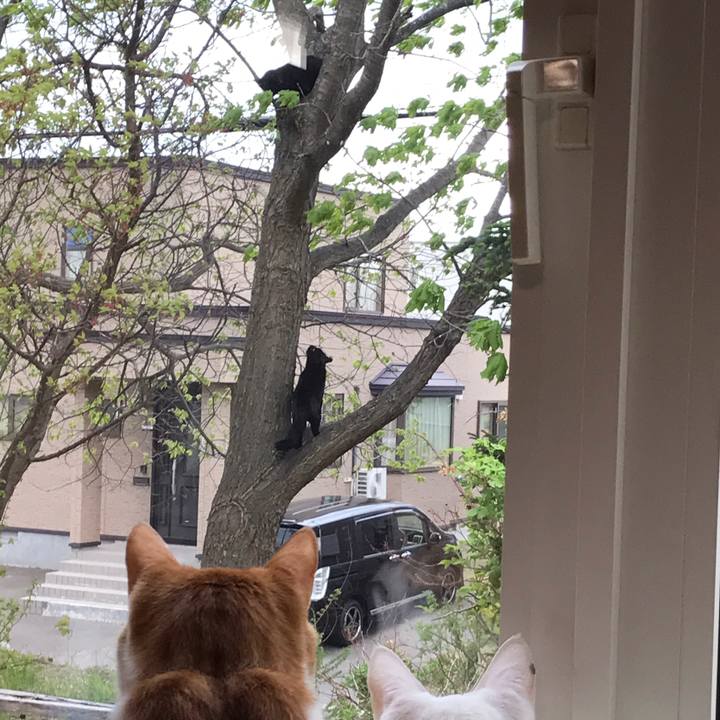 2d6a37a1 afb5 46fe 84a2 1b0ed955460a 1558427805448