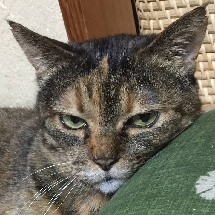 2d6a6fcf add1 4f06 b2d9 9322bee8c8d7 1517733566372