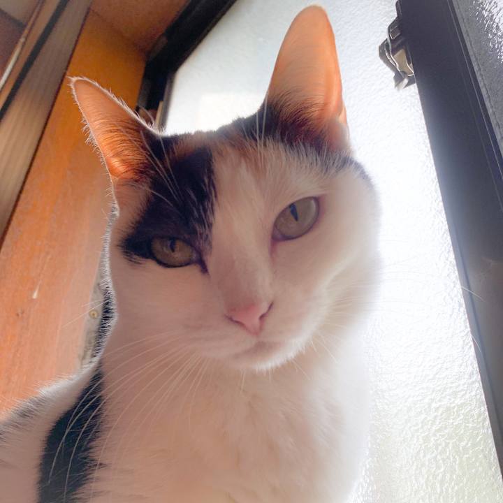 2d6a83ae e0b9 4d80 b2c0 7b11dfecba88 1559008504069