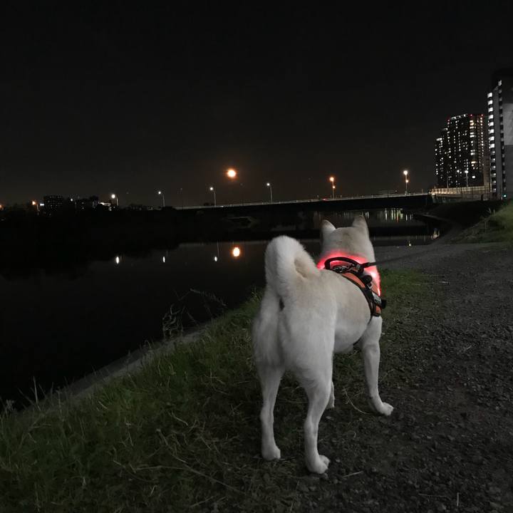 2d6a9037 ac84 4d78 80df 7eb2b22e9fb7 1543147641855